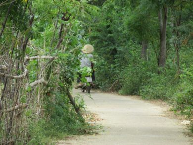 Plongez au coeur du Vietnam avec vietnamvo.com