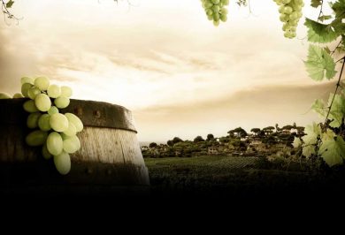 Acheter ses bouteilles intelligemment avec achat-vin.fr