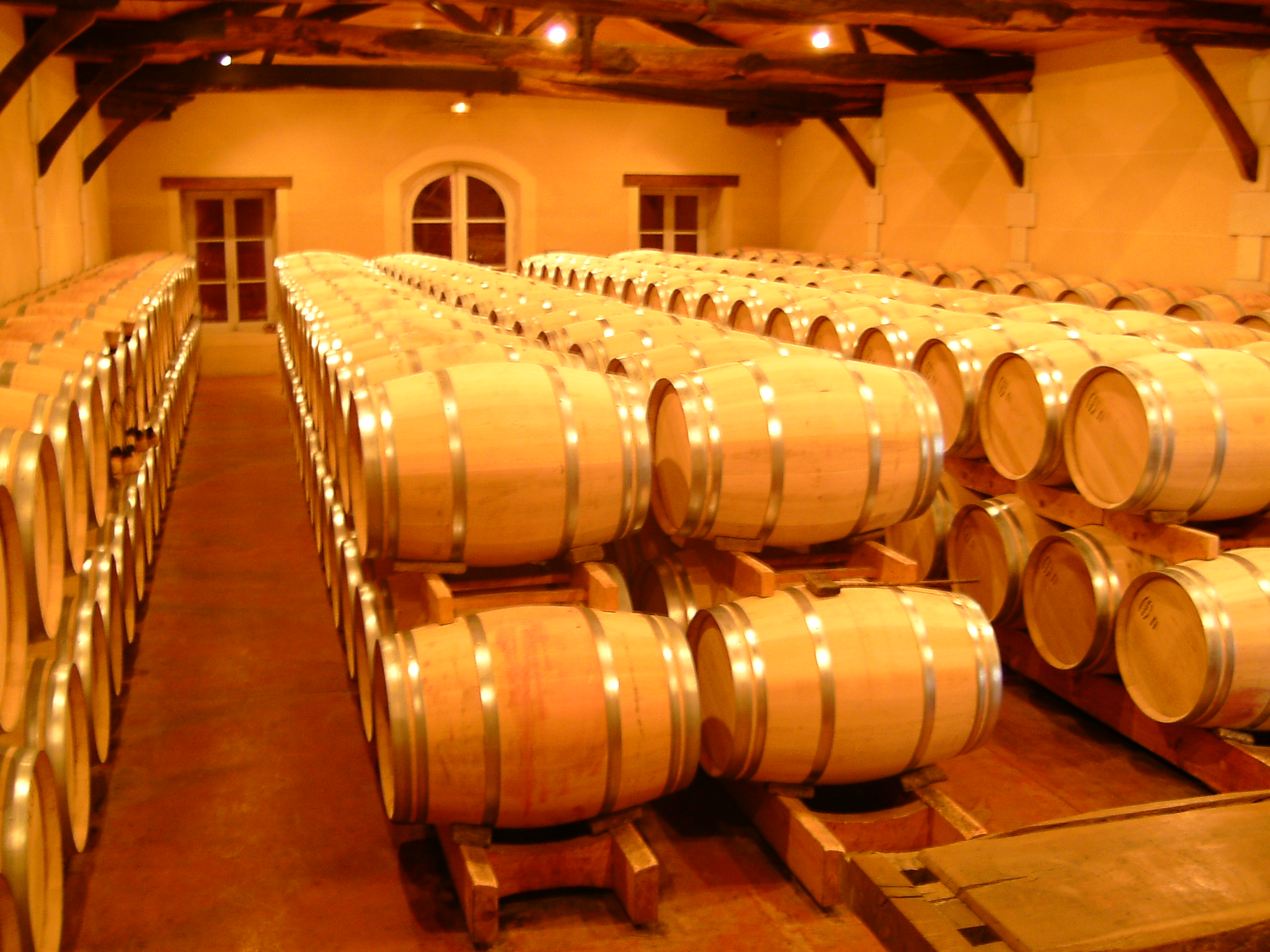 Découvrir les meilleurs vins, lors d'un achat vin de toscane