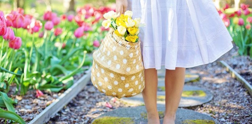 Quels sont les meilleurs légumes et fleurs à planter à l’ombre pour un jardin productif ?